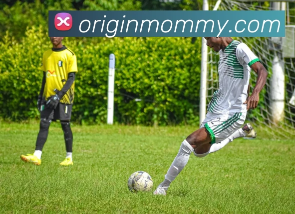 体育App